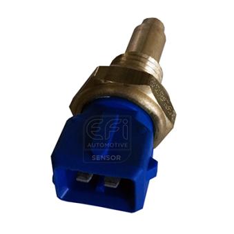 Sonde de température, liquide de refroidissement EFI AUTOMOTIVE OEM 60813751