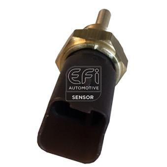 Sonde de température, liquide de refroidissement EFI AUTOMOTIVE 295141 pour AUDI Q7 1.4 - 100cv