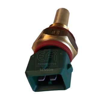 Sonde de température, liquide de refroidissement EFI AUTOMOTIVE OEM 133875