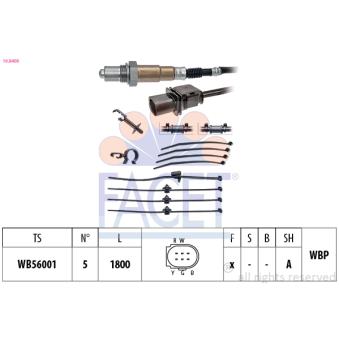 Sonde lambda FACET OEM 07L906262M