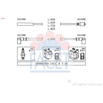 Kit de câbles d'allumage FACET OEM 6084817