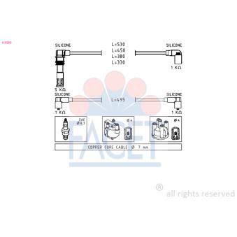 Kit de câbles d'allumage FACET OEM N10052911