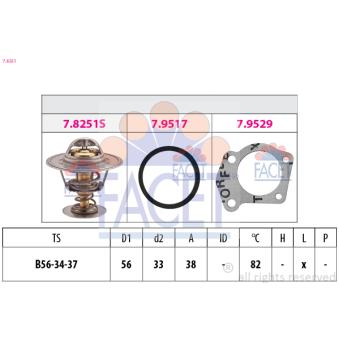 Thermostat d'eau FACET 7.8251