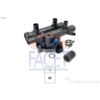 Thermostat d'eau FACET OEM 1106100QAJ