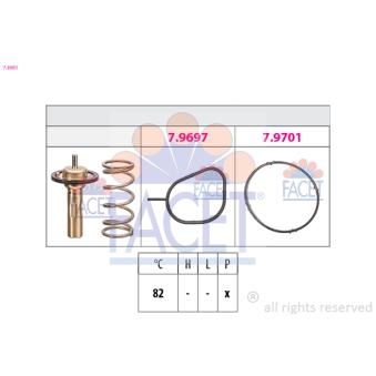 Thermostat d'eau FACET 7.8961