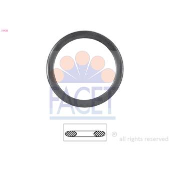 Joint d'étanchéité, thermostat FACET 7.9535