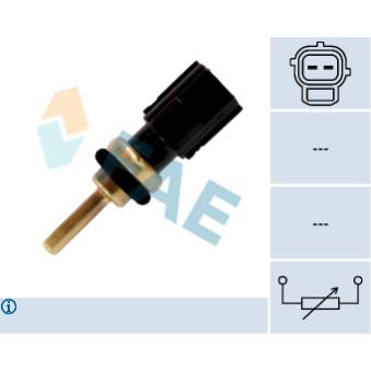 Sonde de température, liquide de refroidissement FAE 33835 pour RENAULT R11 D3 - 150cv