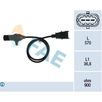 Capteur d'angle, vilebrequin FAE OEM 3918027800