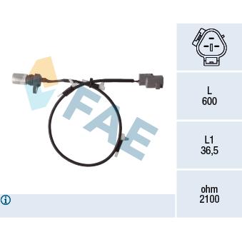 Capteur d'angle, vilebrequin FAE OEM 9091905050