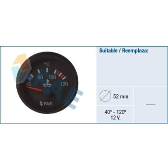 Thermomètre FAE 99560