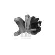 TEDGUM 00058910 - Support moteur