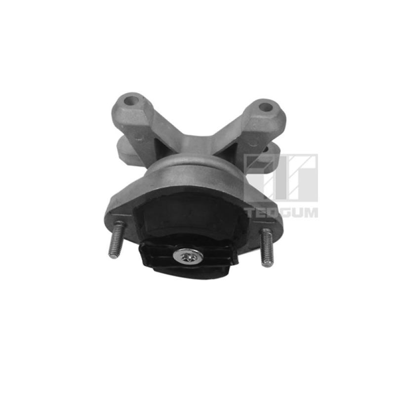 Support moteur TEDGUM 00058910 - Visuel 1