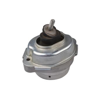 Support moteur avant gauche TEDGUM [00088547]