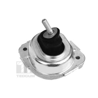 Support moteur avant droit TEDGUM OEM 22113428398