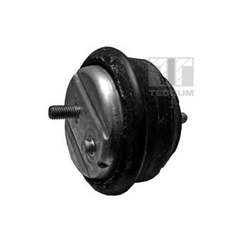 Support moteur avant droit TEDGUM OEM 22111094814 Support moteur avant droit TEDGUM OEM 22111094814