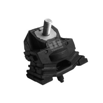 Support moteur TEDGUM OEM 4055199 Support moteur TEDGUM OEM 4055199