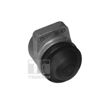 Support moteur avant droit TEDGUM 00399821