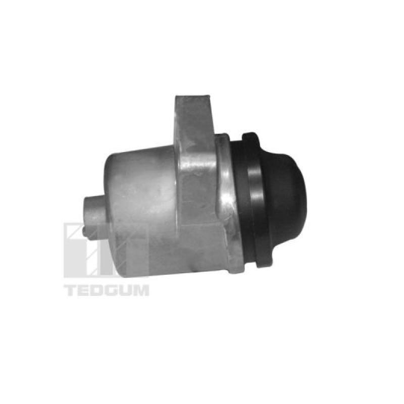 Support moteur avant droit TEDGUM 00399821 - Visuel 1