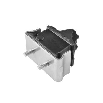 Support moteur TEDGUM OEM 9012412413