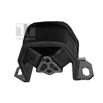 Suspension, support de boîte de vitesse manuelle TEDGUM 00500604 pour RENAULT MASTER 2.0 - 110cv