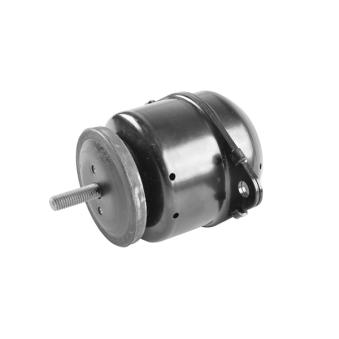 Support moteur avant droit TEDGUM [00619272]