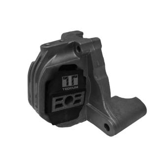 Support moteur TEDGUM OEM 30741583