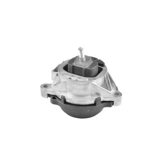 Support moteur avant gauche TEDGUM OEM 22116856183