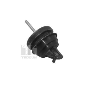 Support moteur TEDGUM TED11497 Support moteur TEDGUM TED11497