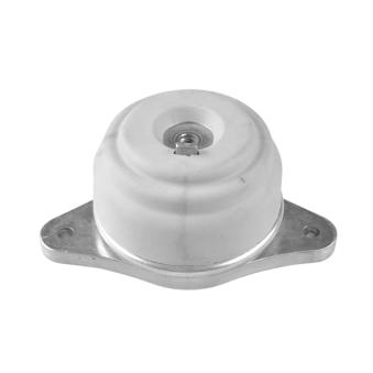 Support moteur TEDGUM OEM 2212400817