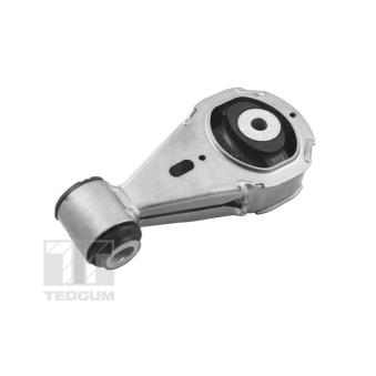 Support moteur TEDGUM OEM 113560009R