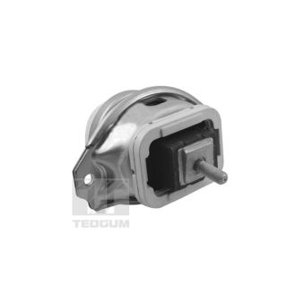 Support moteur TEDGUM OEM KKB500770