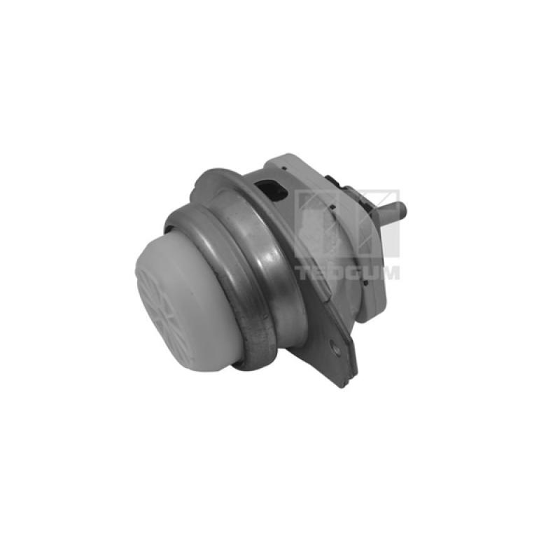 Support moteur TEDGUM TED44341 - Visuel 1