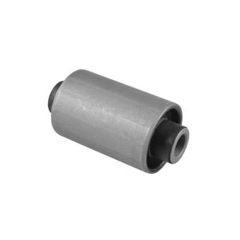 Suspension, ressort à lames TEDGUM TED54093 pour RENAULT TRUCKS MASCOTT 1.6 16V - 110cv