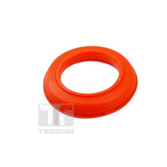 Patin de ressort TEDGUM OEM l20628012 Patin de ressort TEDGUM OEM l20628012