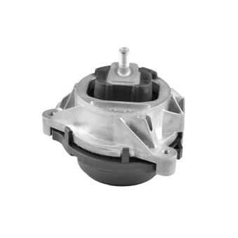Support moteur avant droit TEDGUM OEM 22116855456