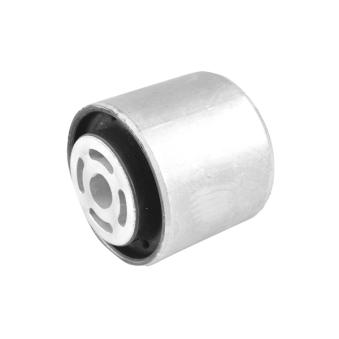 Suspension, Différentiel TEDGUM TED98578 pour DACIA LOGAN 3.6 - 294cv