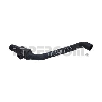 Durite de radiateur ORIGINAL IMPERIUM OEM 1H0121101R