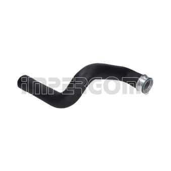 Gaine de suralimentation ORIGINAL IMPERIUM 222789