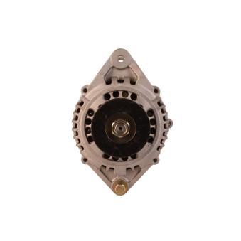 Alternateur WALKER [WAL03998]