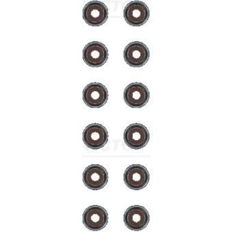 Jeu de joints d'étanchéité, tige de soupape VICTOR REINZ 12-21170-01