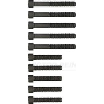 Jeu de boulons de culasse de cylindre VICTOR REINZ 14-32039-01 pour SEAT LEON 2.0 E - 110cv