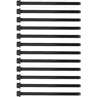 Jeu de boulons de culasse de cylindre VICTOR REINZ 14-32321-02