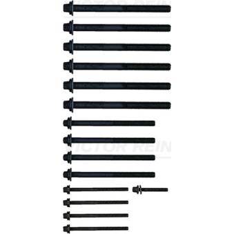 Jeu de boulons de culasse de cylindre VICTOR REINZ [14-32359-01]