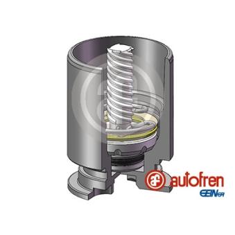 Piston, étrier de frein AUTOFREN SEINSA D025777LK pour RENAULT KANGOO D 55 1.9 - 54cv