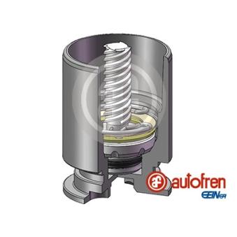 Piston, étrier de frein AUTOFREN SEINSA D025777RK pour RENAULT KANGOO D 55 1.9 - 54cv