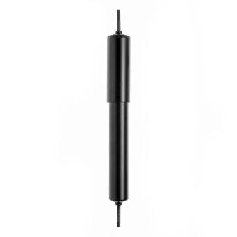 Jeu de 2 Amortisseurs avant MONROE D4436