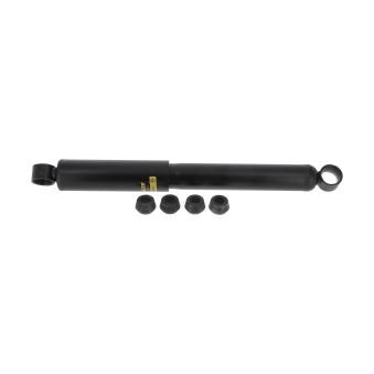 Jeu de 2 amortisseurs arrière MONROE OEM 4854135500