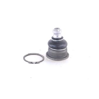 Rotule de suspension MONROE OEM 8200679067