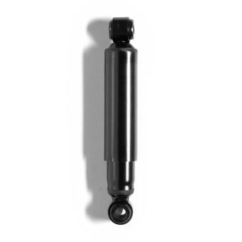 Jeu de 2 amortisseurs arrière MONROE R1011