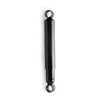 Jeu de 2 amortisseurs arrière MONROE OEM XM3418125BA